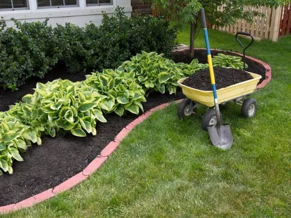 Obrzeża i Obrzeża Kostką na Obrzeże Trawnika